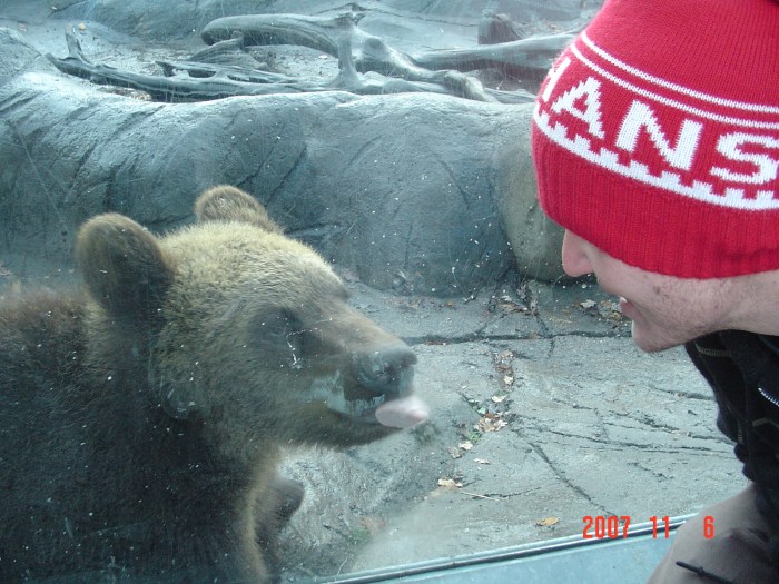 Me getting close to a cub