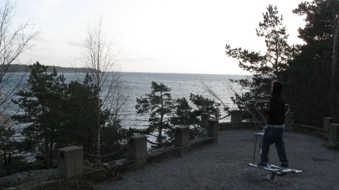 Me getting a workout in with a great view