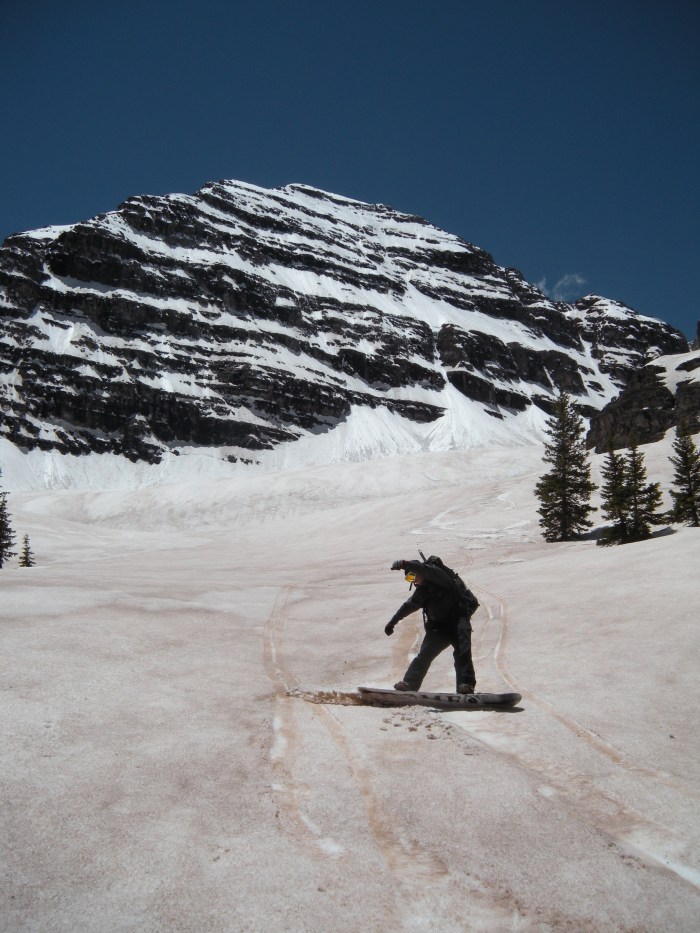 Tyler slashing slush