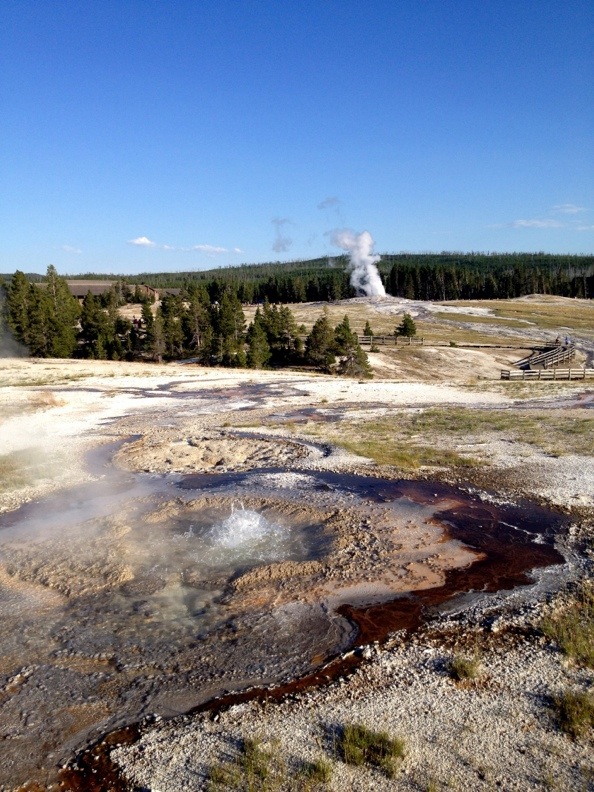 Anenome Geyser with Old Faithful