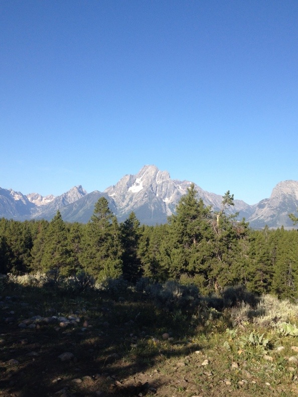 Mt Moran from an overlook on the trail