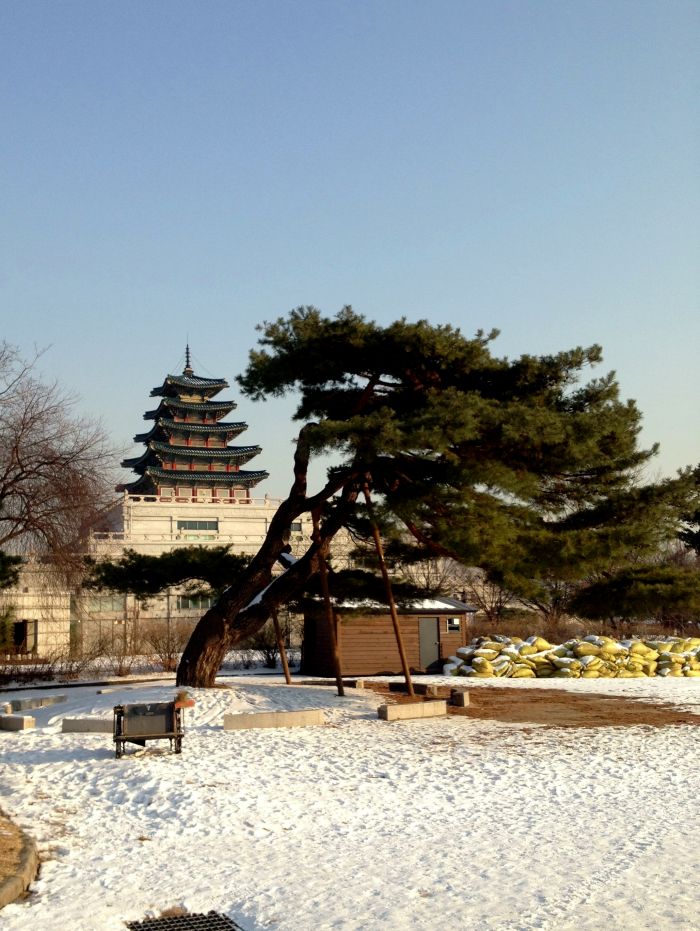 Tree and Palace. For more photos from Gyeongbokgung, check out the gallery at the end of this post