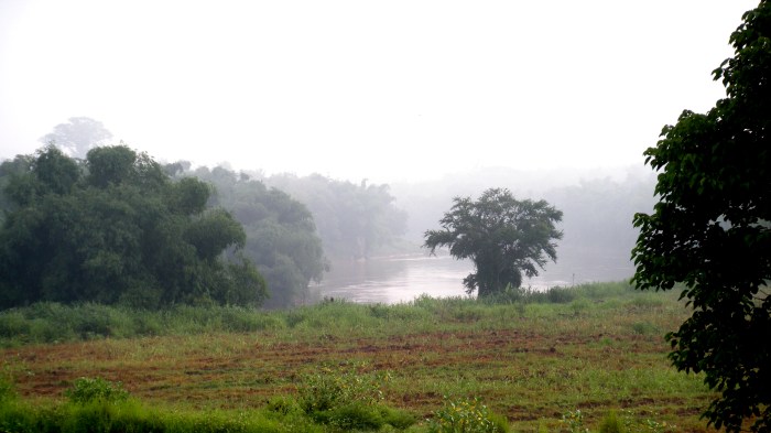 Where the Solo & Maduin meet