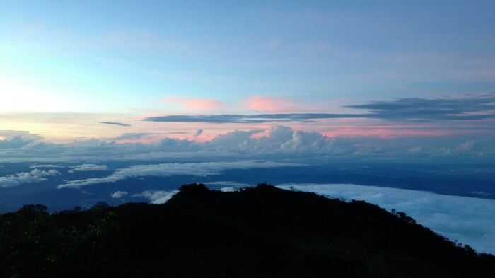 Blue, pink, and beautiful