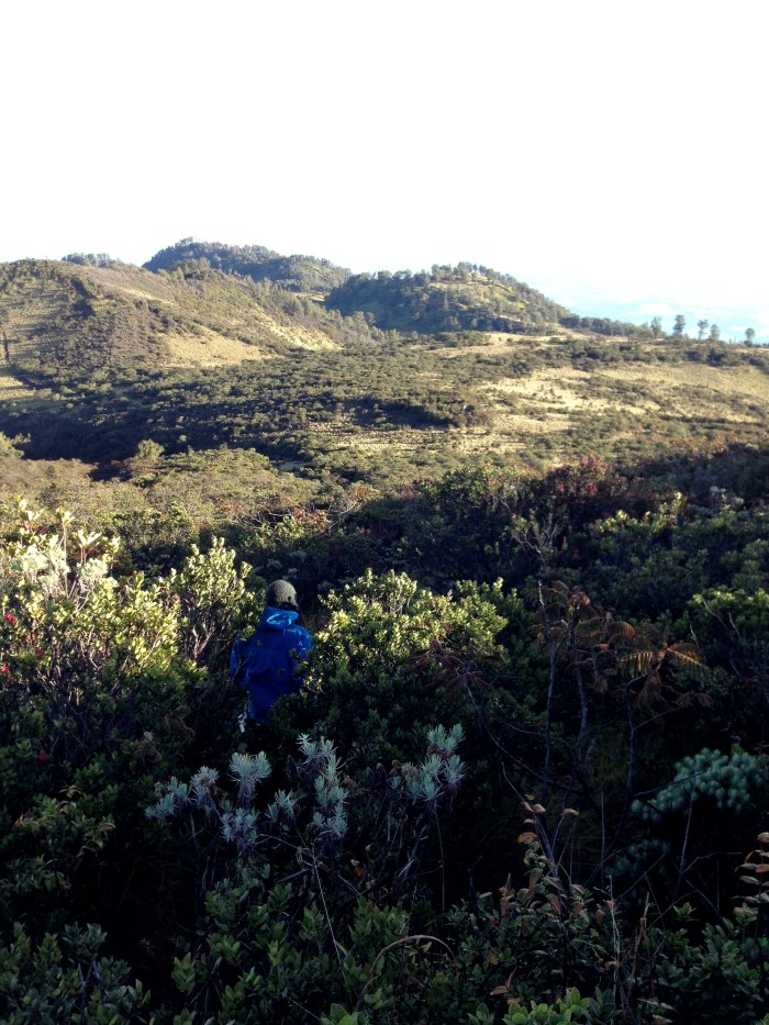 John descending from the summit
