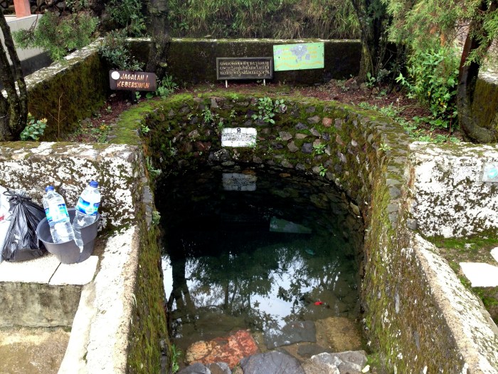 High Mountain Spring