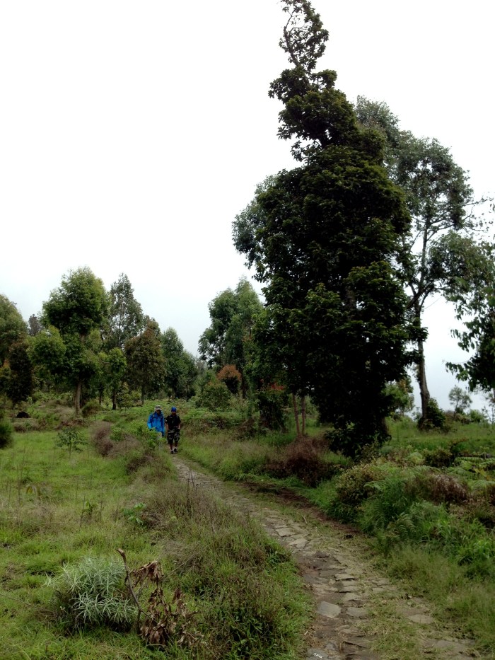 John and Very almost down....