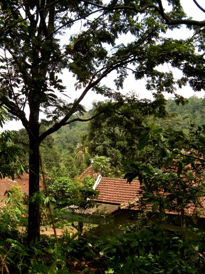 Jogorogo Front Porch View