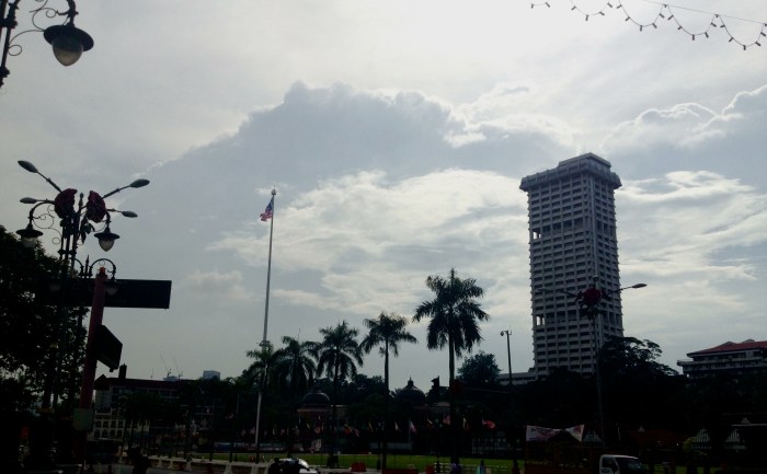 Palm Trees & Skyscrapers