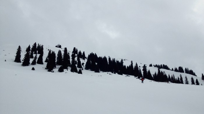 Konrad coming out of "Grandmother's House"