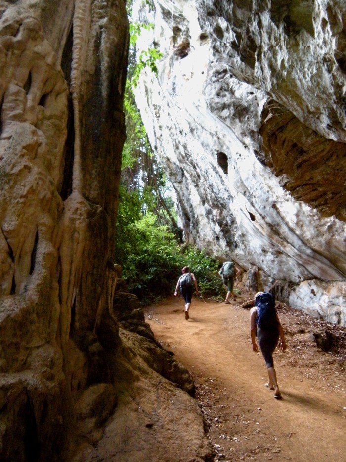 On the way to Cobra Wall