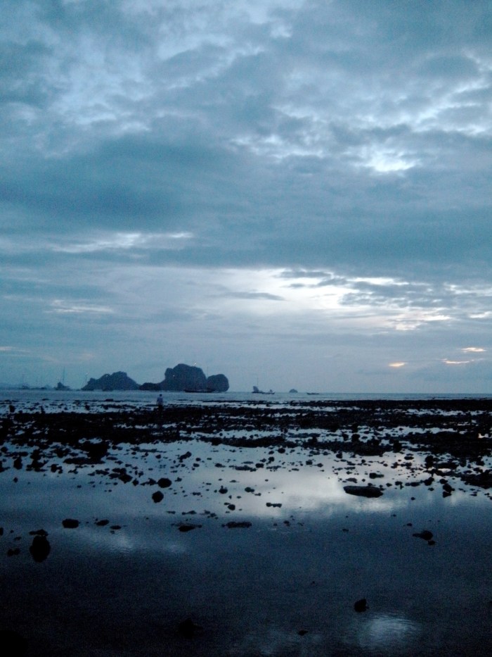 Dusk and Low Tide on New Year's Eve