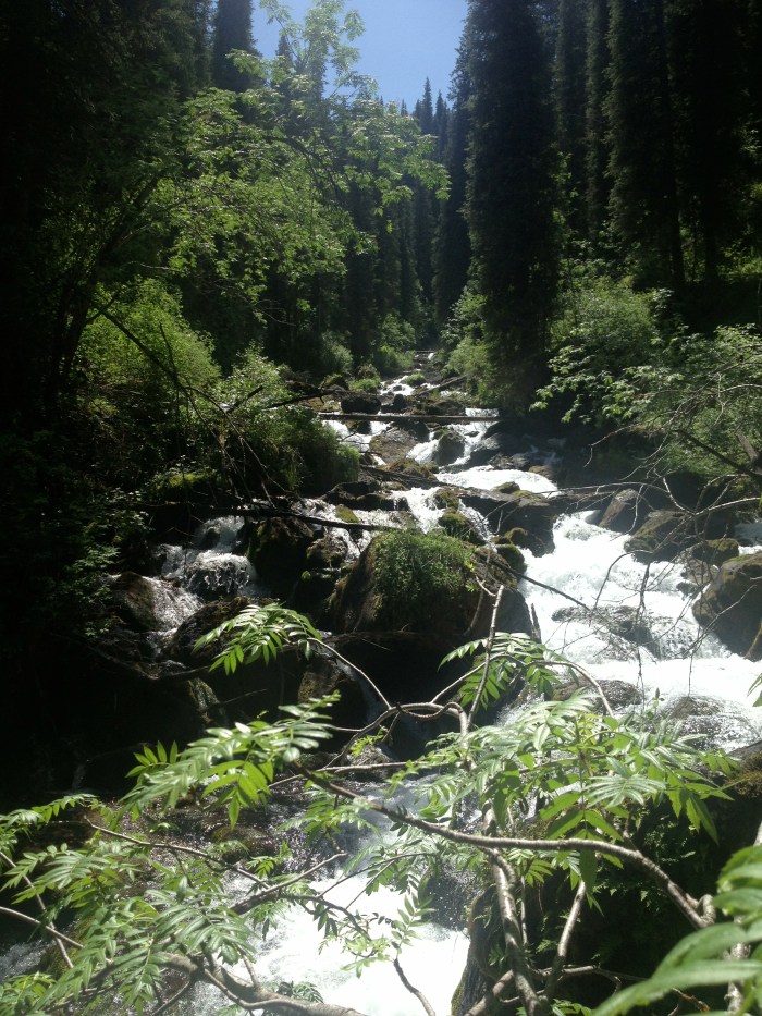 Waterfall on the hike out