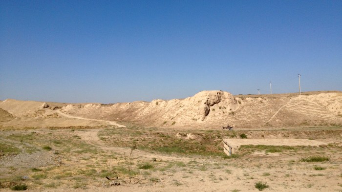 Looking out towards Afrosiab