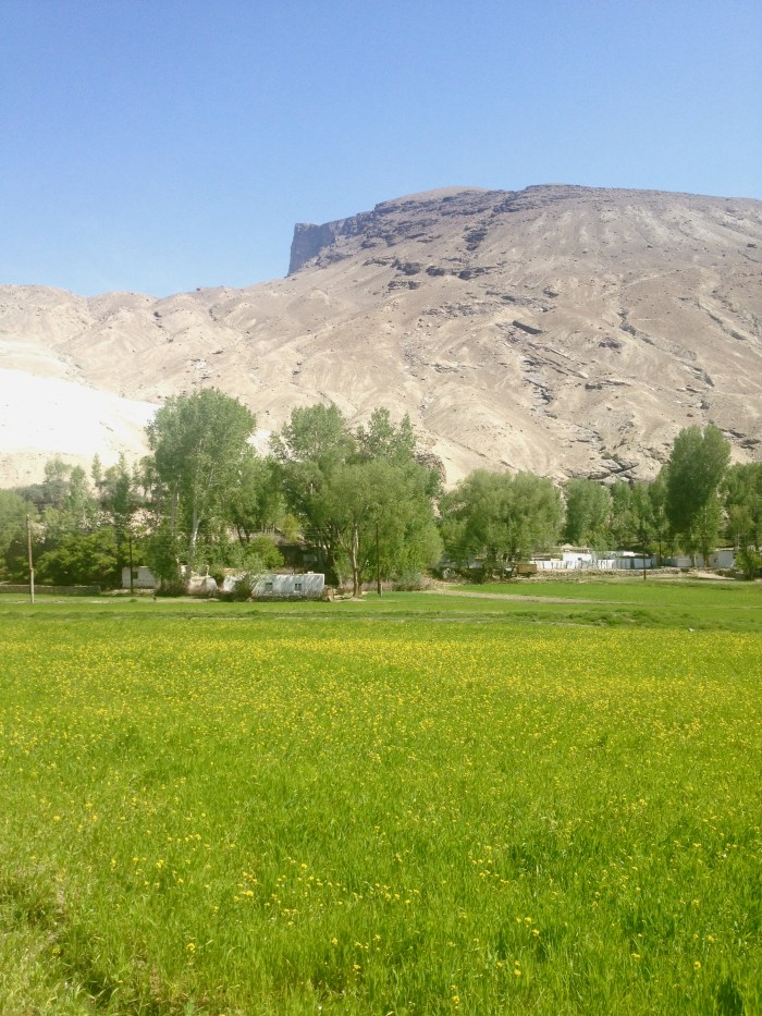 Flowers on a farm walking to a Buddhist Stupa