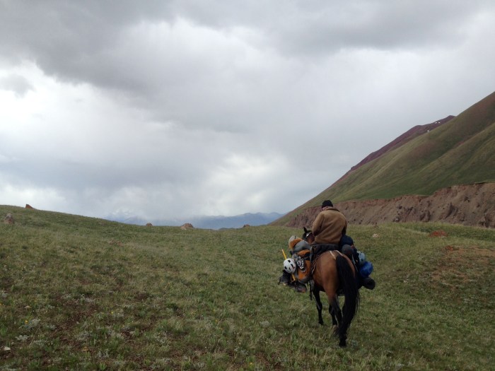 Standard Kyrgyz Transportation