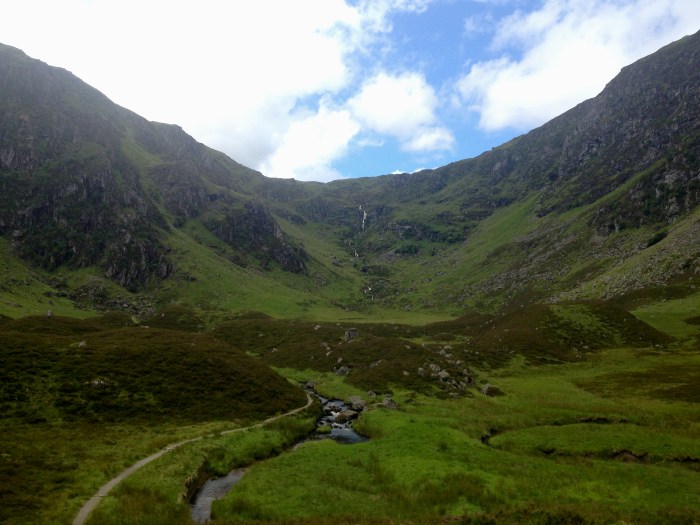 Corrie Fee