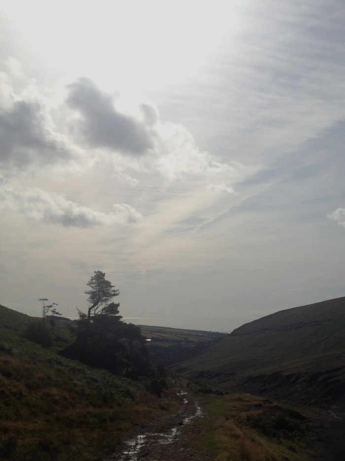 360 degrees of beauty on the trail